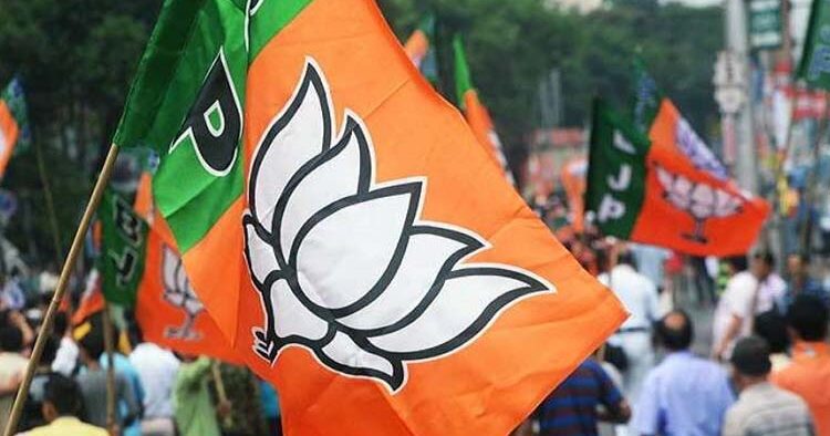 BJP's focus on small castes