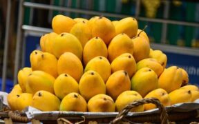 Indians mango orders through Zepto app
